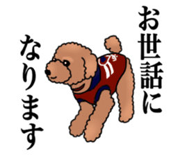 YUTAN the Toy Poodle sticker #15151992
