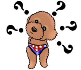 YUTAN the Toy Poodle sticker #15151993