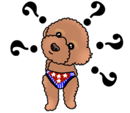 YUTAN the Toy Poodle sticker #15151993