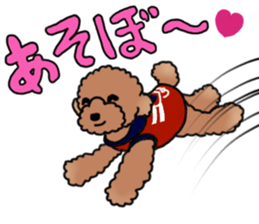 YUTAN the Toy Poodle sticker #15151997