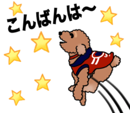 YUTAN the Toy Poodle sticker #15152006