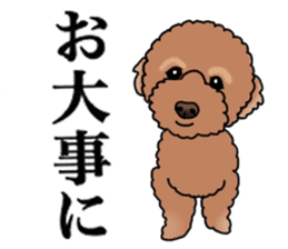 YUTAN the Toy Poodle sticker #15152007