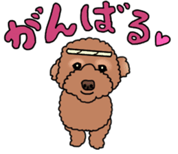 YUTAN the Toy Poodle sticker #15152008