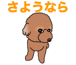 YUTAN the Toy Poodle sticker #15152011