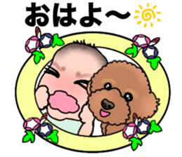 YUTAN the Toy Poodle sticker #15152017