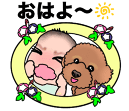 YUTAN the Toy Poodle sticker #15152017