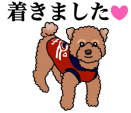 YUTAN the Toy Poodle sticker #15152019