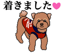 YUTAN the Toy Poodle sticker #15152019