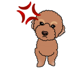 YUTAN the Toy Poodle sticker #15152023