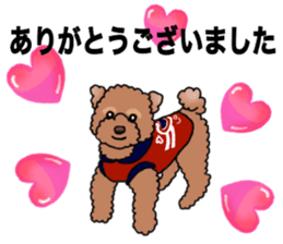 YUTAN the Toy Poodle sticker #15152025