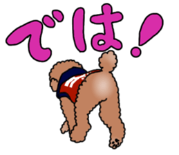 YUTAN the Toy Poodle sticker #15152026