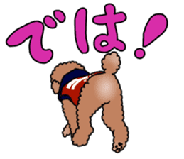 YUTAN the Toy Poodle sticker #15152026