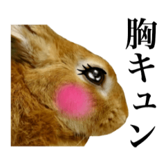 PEACH THE RABBIT USAGI 2