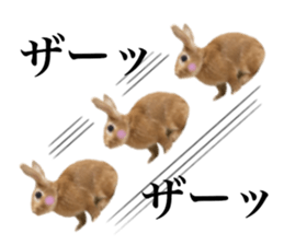 PEACH THE RABBIT USAGI 2 sticker #15152195