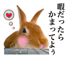 PEACH THE RABBIT USAGI 2 sticker #15152196