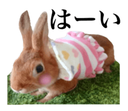 PEACH THE RABBIT USAGI 2 sticker #15152198