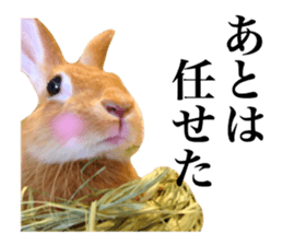 PEACH THE RABBIT USAGI 2 sticker #15152202