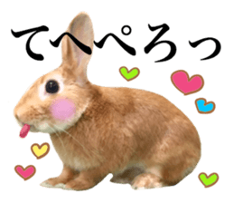 PEACH THE RABBIT USAGI 2 sticker #15152203