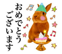 PEACH THE RABBIT USAGI 2 sticker #15152213