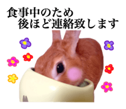 PEACH THE RABBIT USAGI 2 sticker #15152215