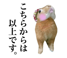 PEACH THE RABBIT USAGI 2 sticker #15152222