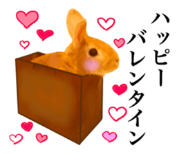 PEACH THE RABBIT USAGI 2 sticker #15152223