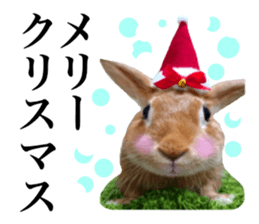 PEACH THE RABBIT USAGI 2 sticker #15152225