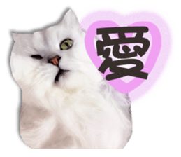 Cutie fluffy cat sticker #15152281