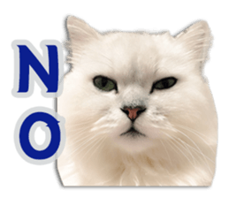 Cutie fluffy cat sticker #15152290