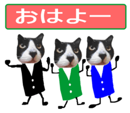 sticker japan cat&gin Photo version 9 sticker #15152911