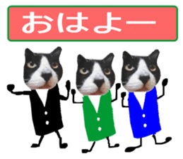 sticker japan cat&gin Photo version 9 sticker #15152911