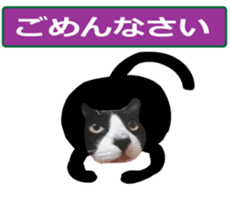 sticker japan cat&gin Photo version 9 sticker #15152914