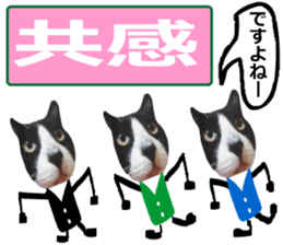 sticker japan cat&gin Photo version 9 sticker #15152915