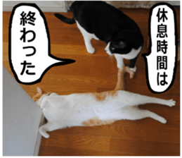 sticker japan cat&gin Photo version 9 sticker #15152916
