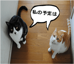 sticker japan cat&gin Photo version 9 sticker #15152924