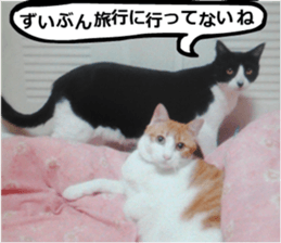 sticker japan cat&gin Photo version 9 sticker #15152925