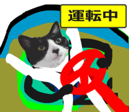 sticker japan cat&gin Photo version 9 sticker #15152928