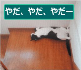 sticker japan cat&gin Photo version 9 sticker #15152930