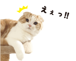 cat's HANA! sticker #15153198