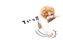 cat's HANA! sticker #15153203