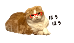 cat's HANA! sticker #15153209