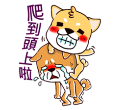 Shiba X Shiba sticker #15154255