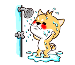 Shiba X Shiba sticker #15154264