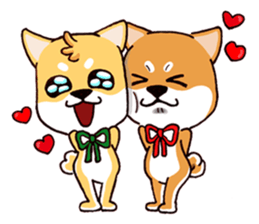 Shiba X Shiba sticker #15154281