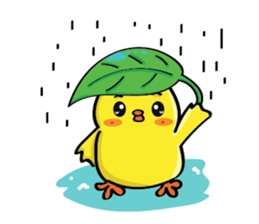 CIKI A Little Chicken sticker #15155011