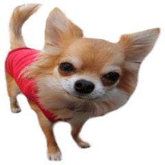 Sticker of Cereza 11