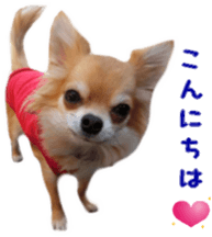 Sticker of Cereza 11 sticker #15156020