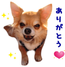 Sticker of Cereza 11 sticker #15156022