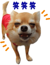 Sticker of Cereza 11 sticker #15156023