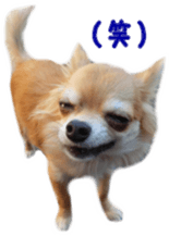 Sticker of Cereza 11 sticker #15156025